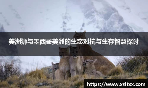 意昂体育平台